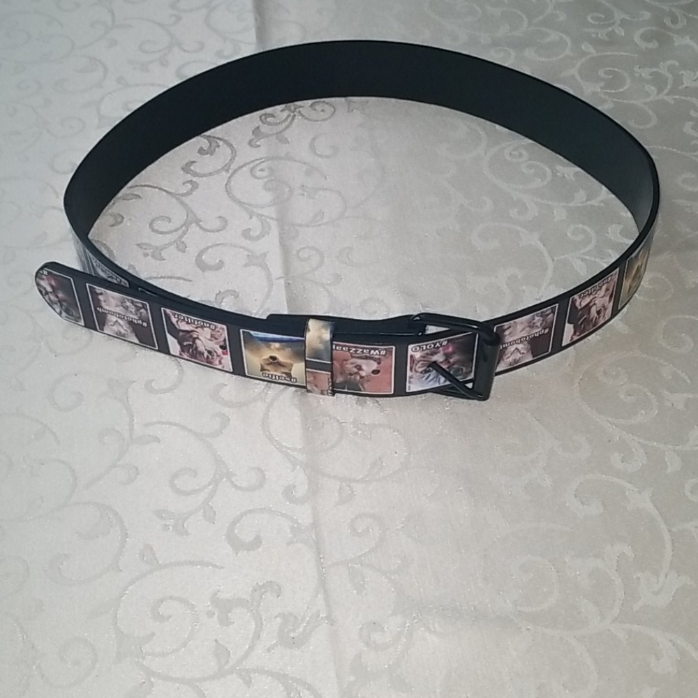 Never worn, Leather Cat Belt.